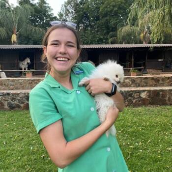 Babysitter in Centurion: Courtney-noell