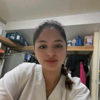 Canguro en Santiago de Compostela: Consuelo