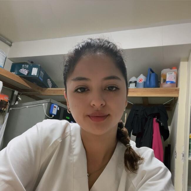 Babysitter in Barcelona: Consuelo