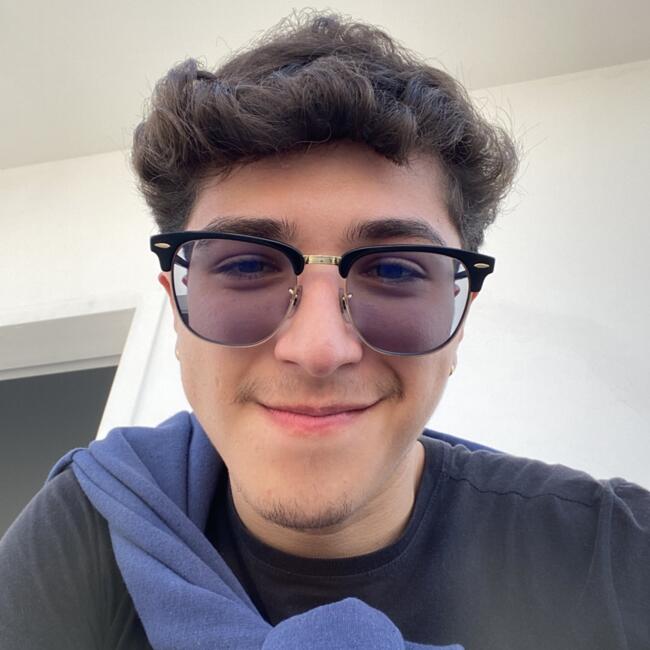 Babysitter in Osasco: David Nathan