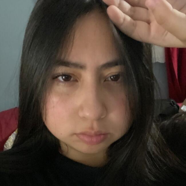 Babysitter in La Serena: Sofía