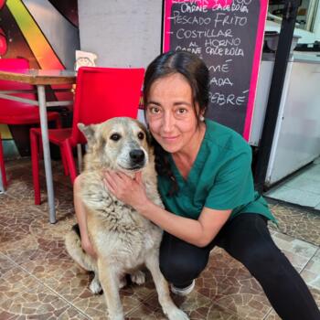 Baby-sitter in Maipú: Angie