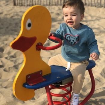Babysit job in Knokke-Heist: babysit jobs Stefan