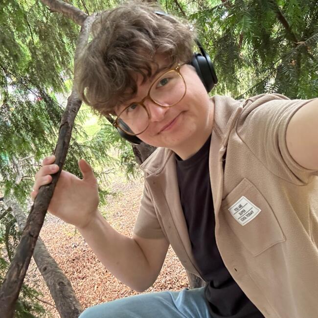 Babysitter in Cornelius (North Carolina): Tyler