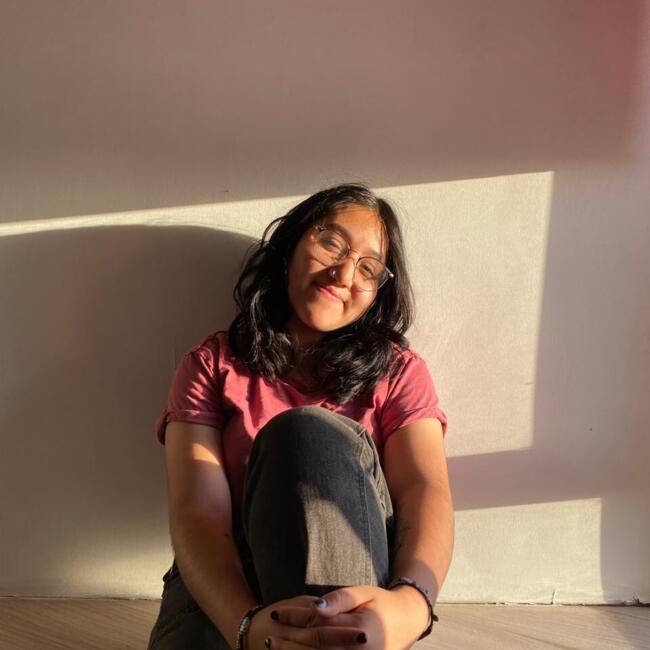 Niñera en Santiago de Chile: Romina