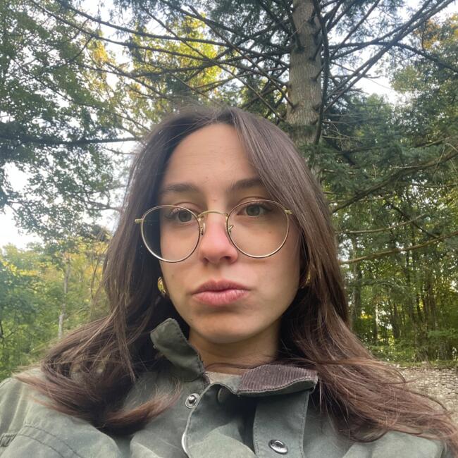 Babysitter in Toulouse: France