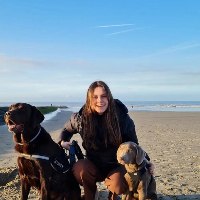 Babysitter in Gent: Anaëlle