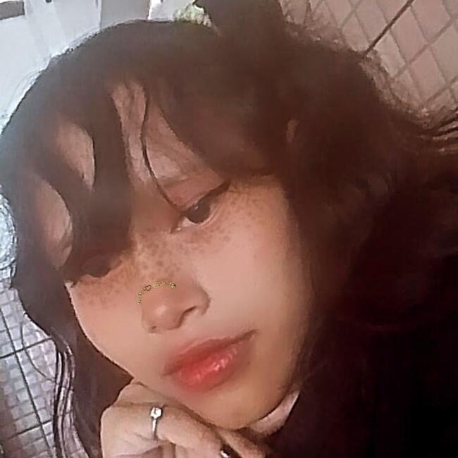 Babysitter in Manaus: Lohana