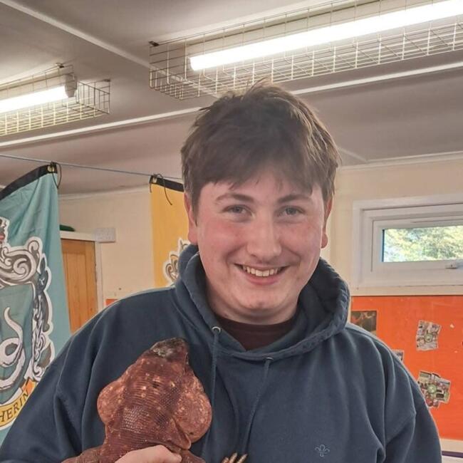 Babysitter in Rochester: Benj