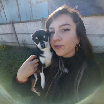 Babysitter in Concepción: Gabriela