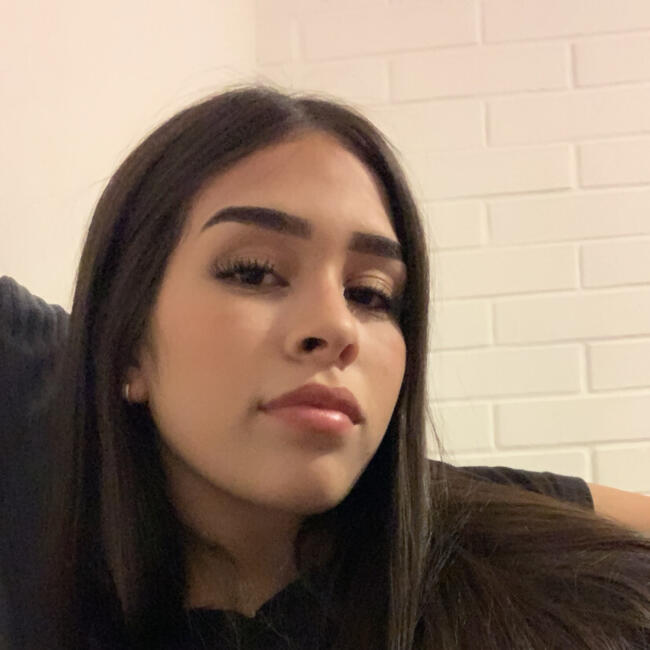 Babysitter in Coquimbo: Alexismar