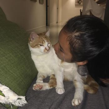 Baby-sitter Richmond: Charlotte