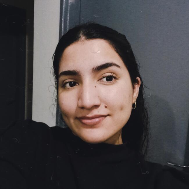 Niñera en Encarnación: Erika