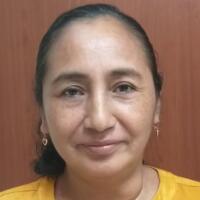 Cpa. lusnolina estrada