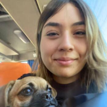 Babysitter in Concepción: Franchesca