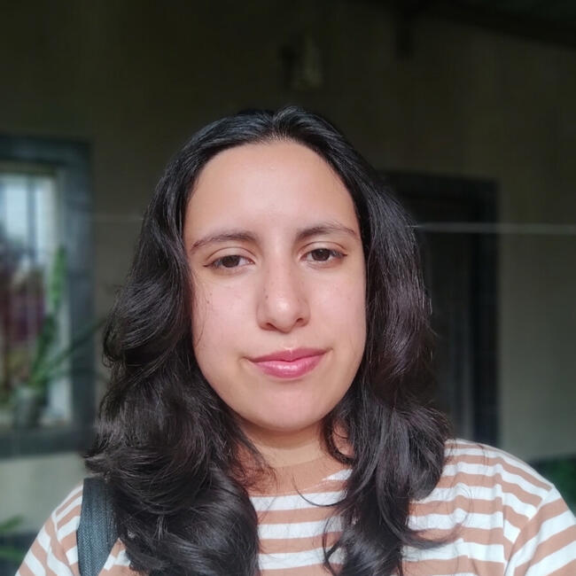 Babysitter in San Miguel de Tucumán: Viviana