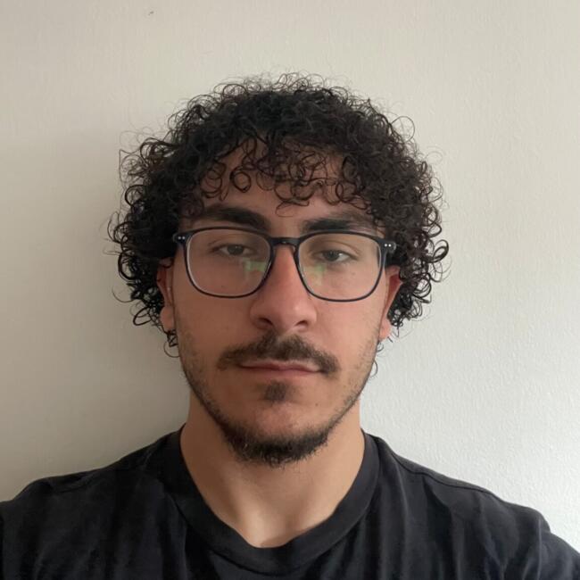 Babysitter em Ponta Delgada: David
