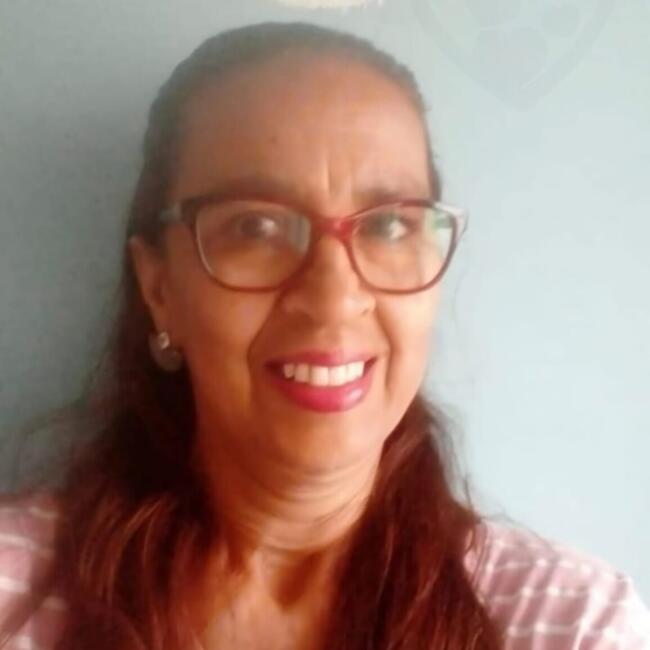 Babysitter in Porto Alegre: Ana