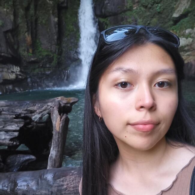 Babysitter in Port Montt: Javiera