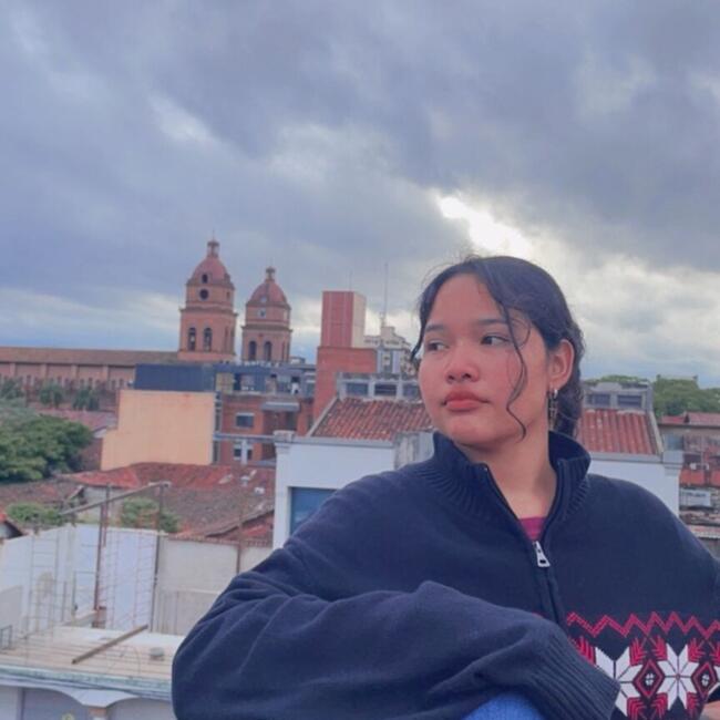 Niñera en Santa Cruz de la Sierra: Fernanda