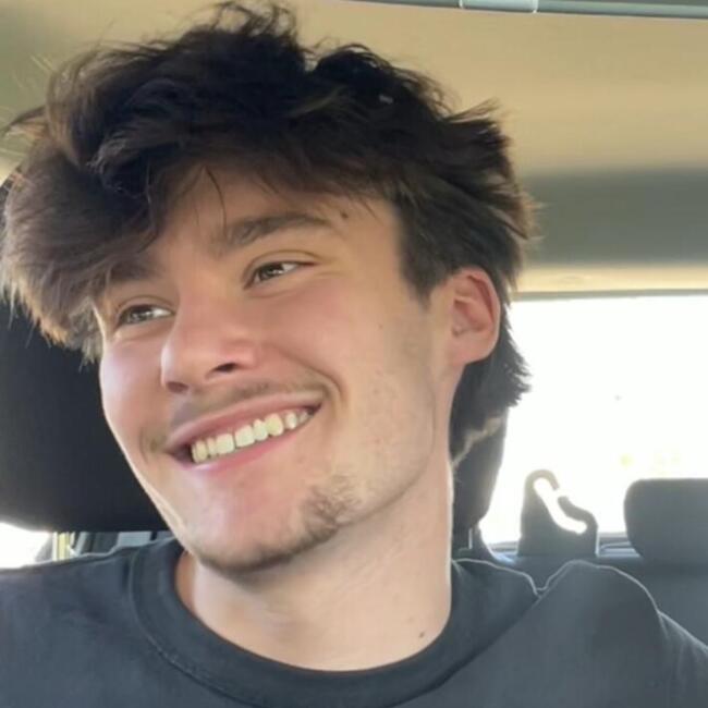 Babysitter in Vannes: Louis