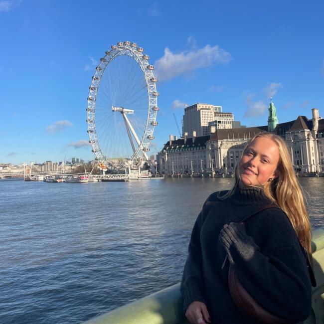 Babysitter in Zottegem: Elise