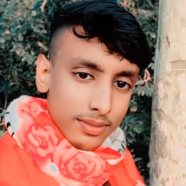 Babysitting job in Shāghātta: MD SHARIF MIA