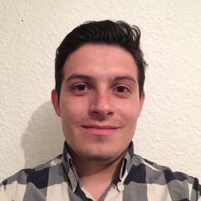 Babysitting job in Tlalnepantla: Erick