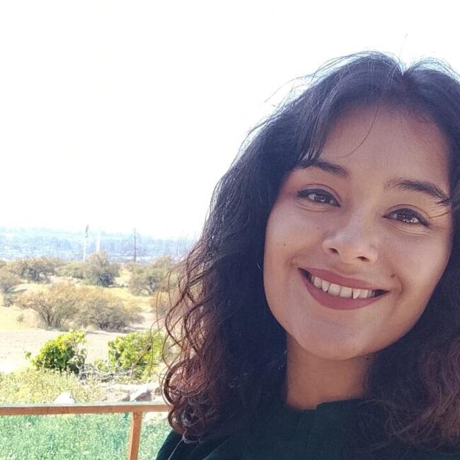 Babysitter in La Florida: Karen Silva