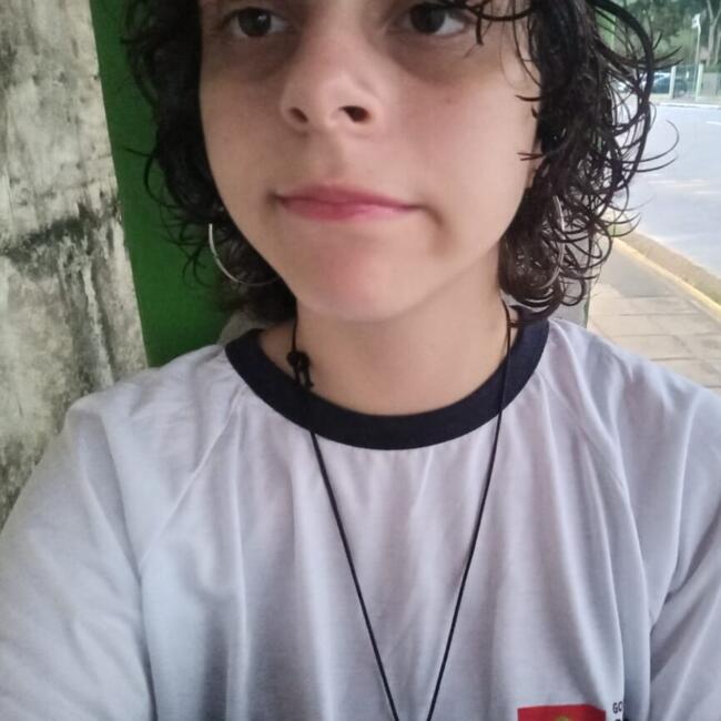 Babysitter in Jaraguá do Sul: Rafne