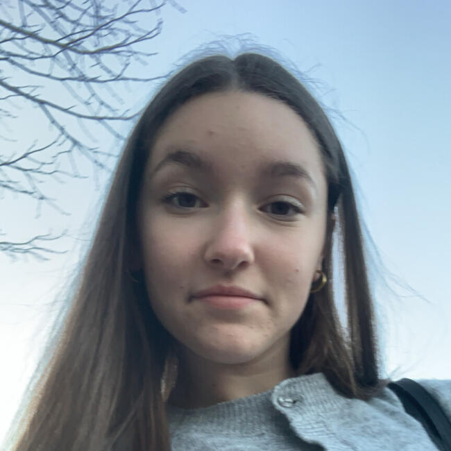 Babysitter in Pleumartin: Louane