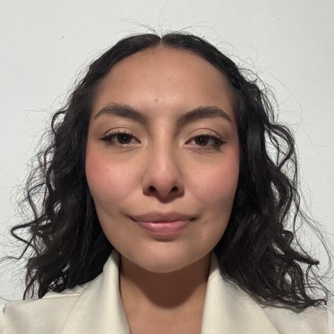 Niñera en Ecatepec: Michel Maiz