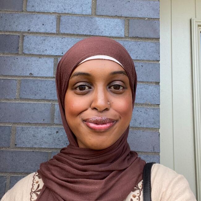 Babysitter in Lucan: Ayan