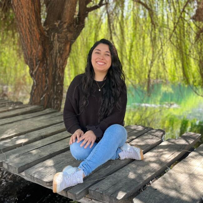 Babysitting job in Macul: Yoselin