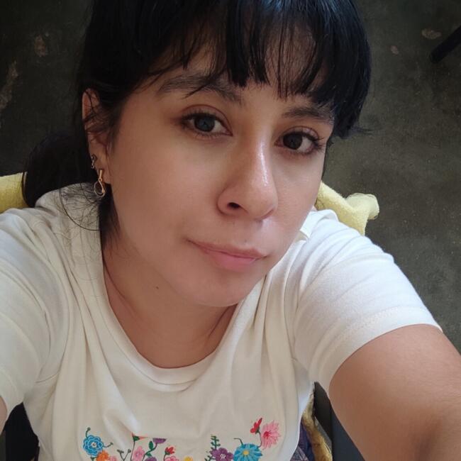 Babysitter in José Leonardo Ortiz: NANCY ELIZABETH YGNACO HUANGAL