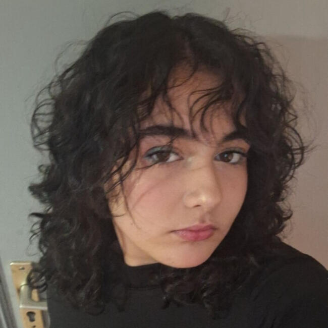 Babysitter in Castillon-la-Bataille: Romane