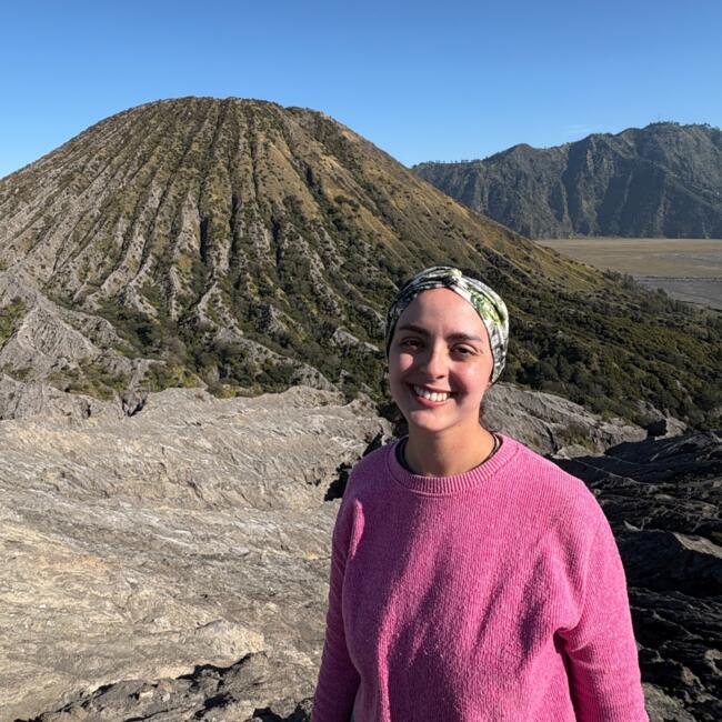 Babysitter in Auckland: Saray