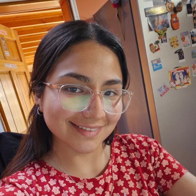 Niñera en Recoleta: Damare Novoa Salgado