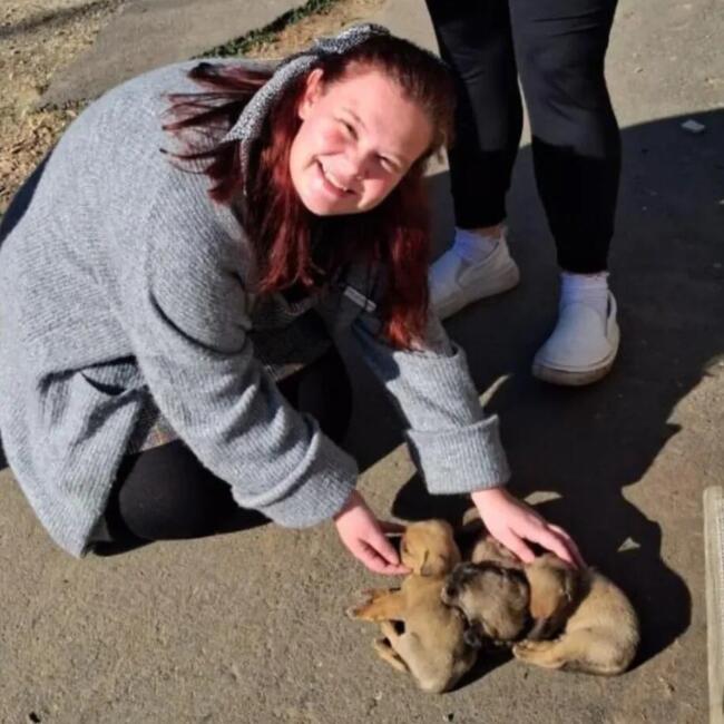 Babysitter in Centurion: Carla