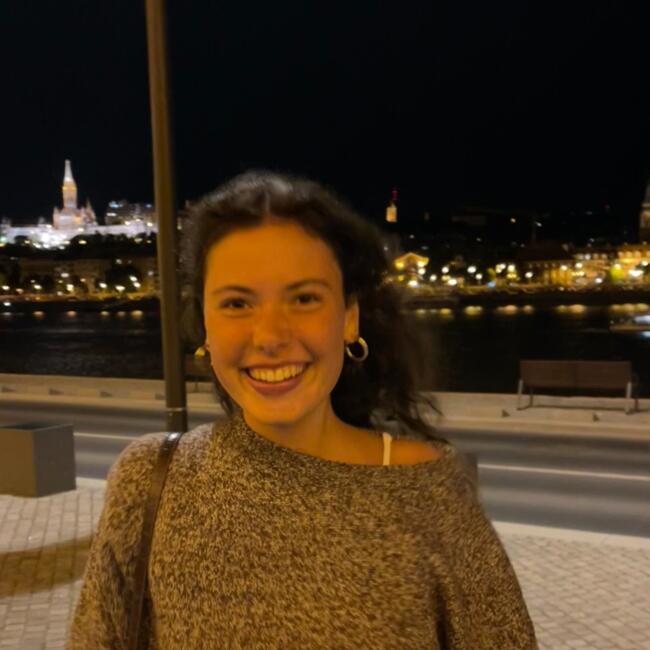 Bébiszitter Budapest területén: Svetlana