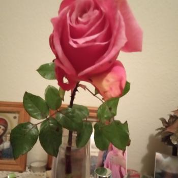 Babysitter Gondomar: Nataliya