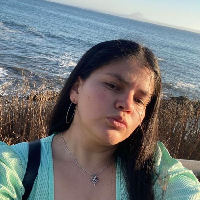 Babysitter in Quilpué: Dayana