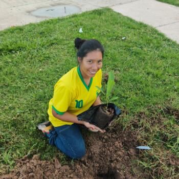 Babysitter in Santa Cruz: Nelsy