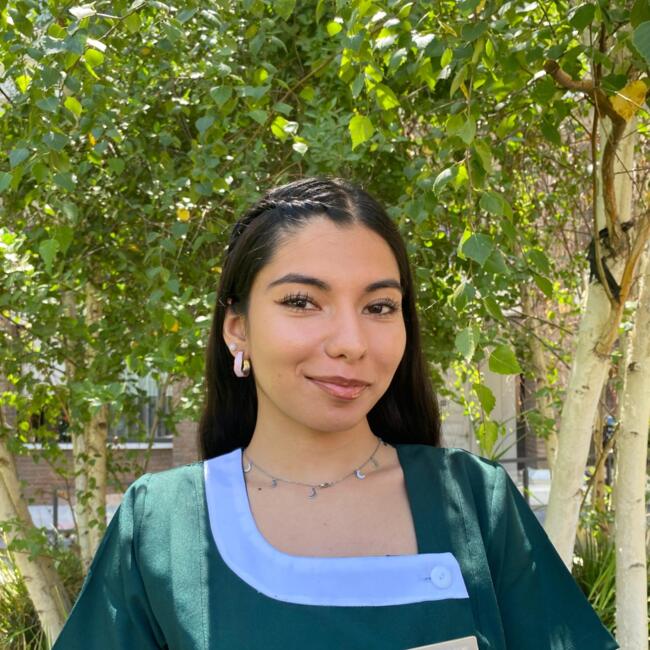 Babysitter in Santiago: Paz castillo