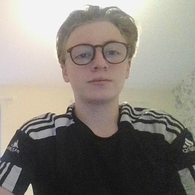 Babysitter in Colmar: Mathis