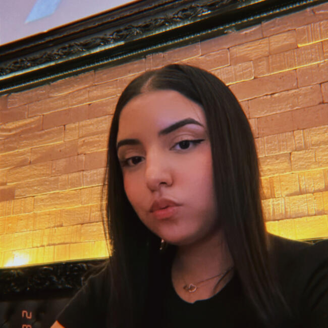 Babysitting job in Carapicuíba: Kemyllen Naila