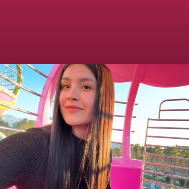 Niñera en Rinconada de Los Andes: Antonia