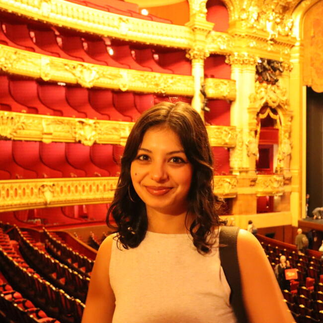 Babysitter in Paris: Liv