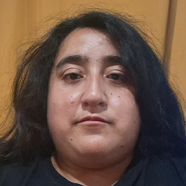 Babysitter in Viña del Mar: Vanessa