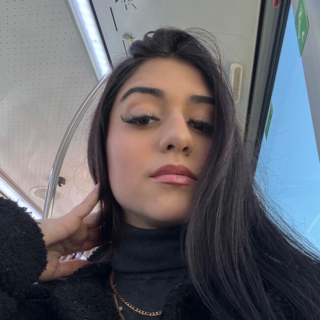 Babysitter in Vila Nova de Gaia: Lara